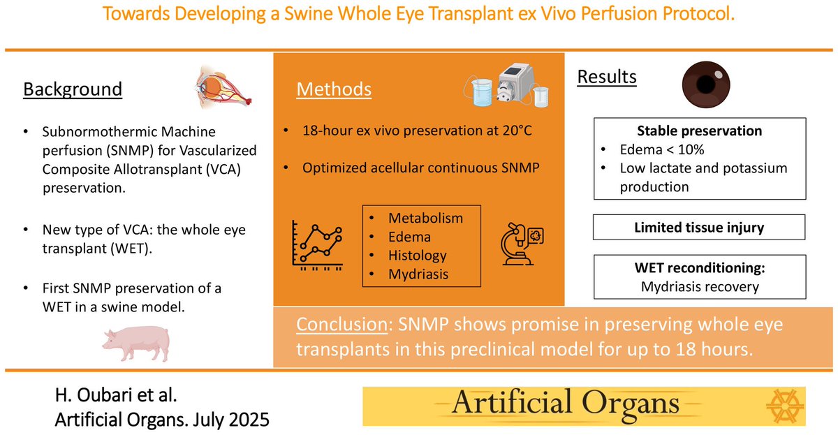 Artificial Organs tweet media
