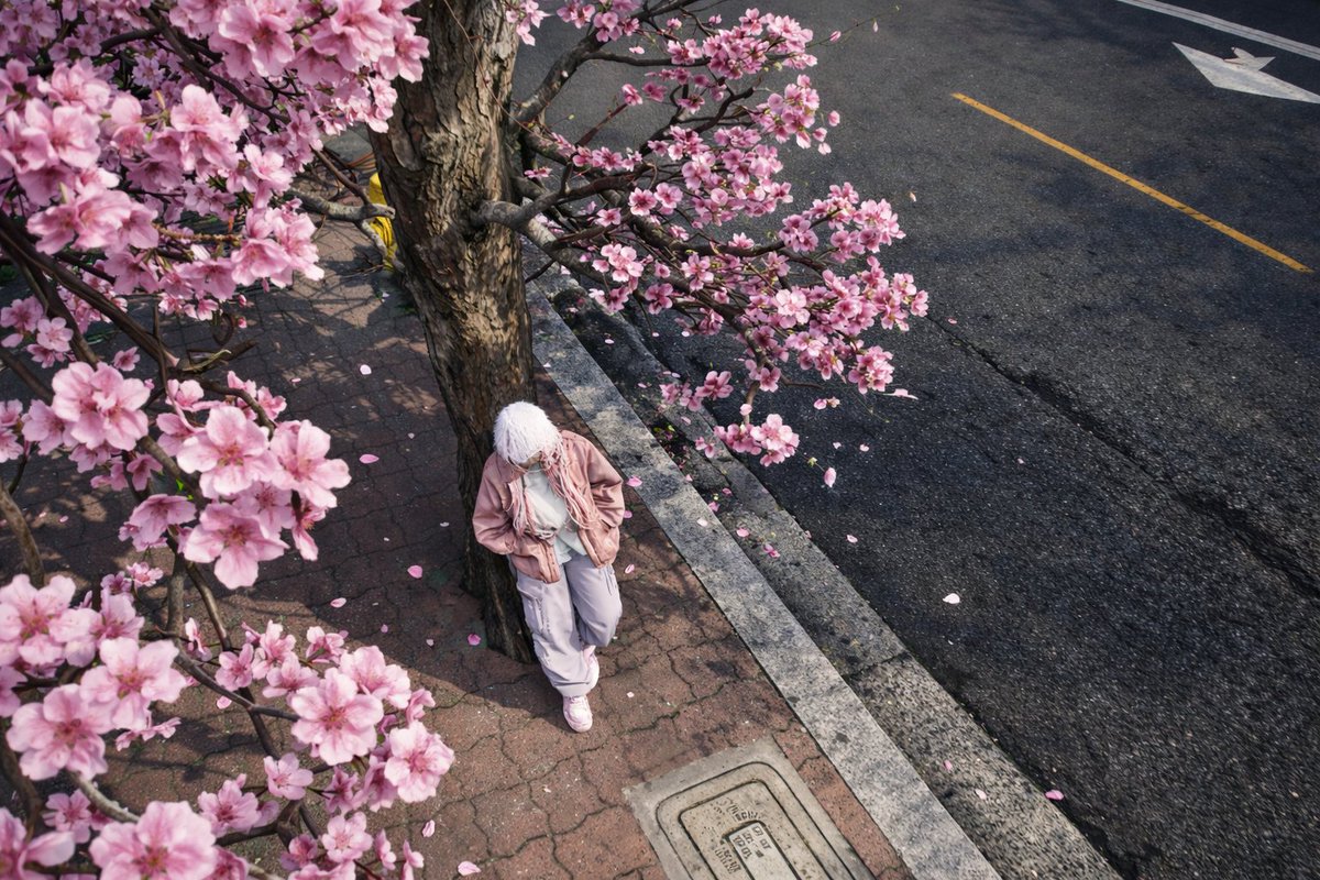 Royal-JP 公式（X） tweet media