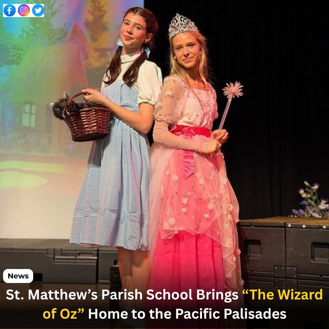 Yo! Venice! tweet media