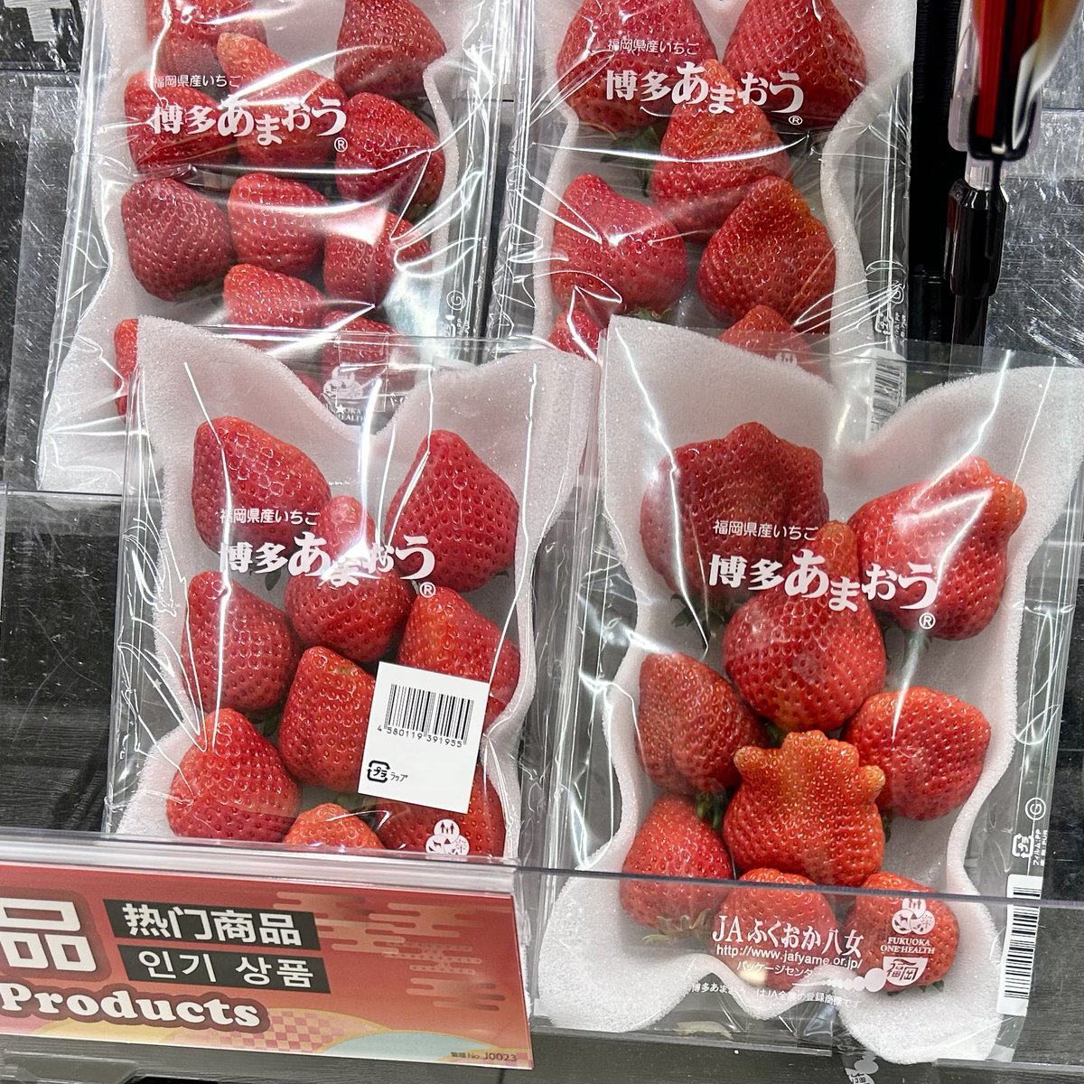 🌈#メタモン みっけ😳🍓
#メタモンいたもん