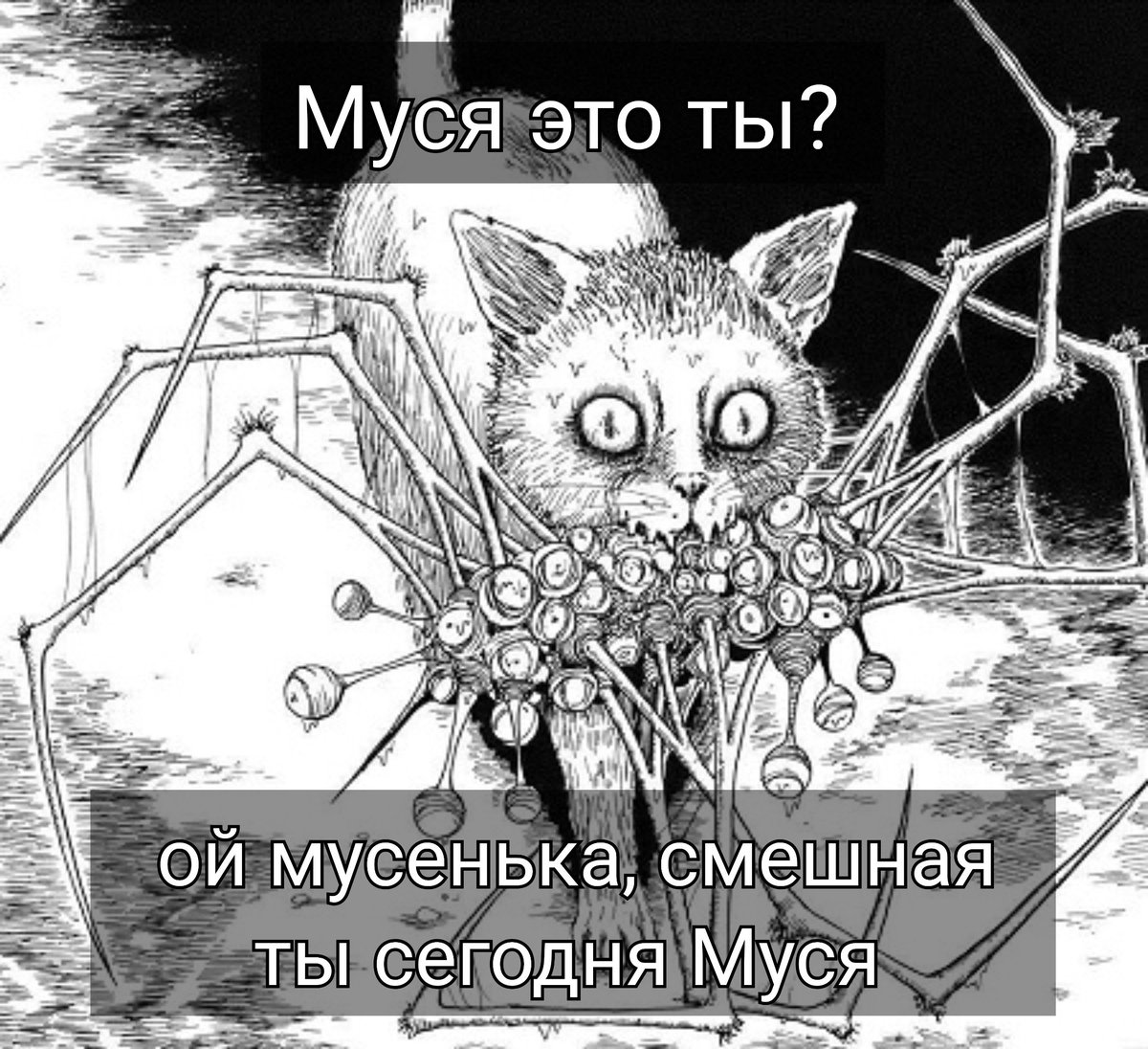 GOLDEN RETWEETER🦮 tweet media