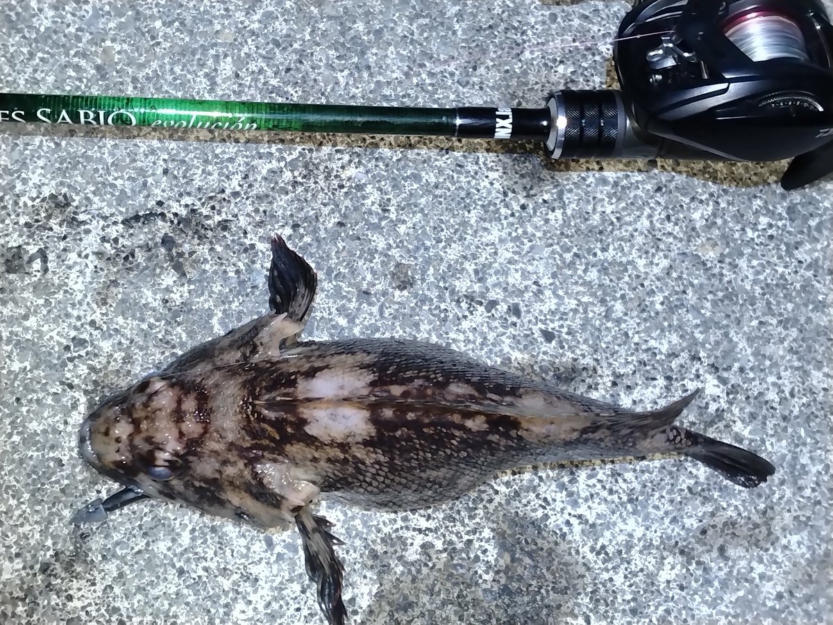 やかん＠ライトゲーマー(仮) tweet media