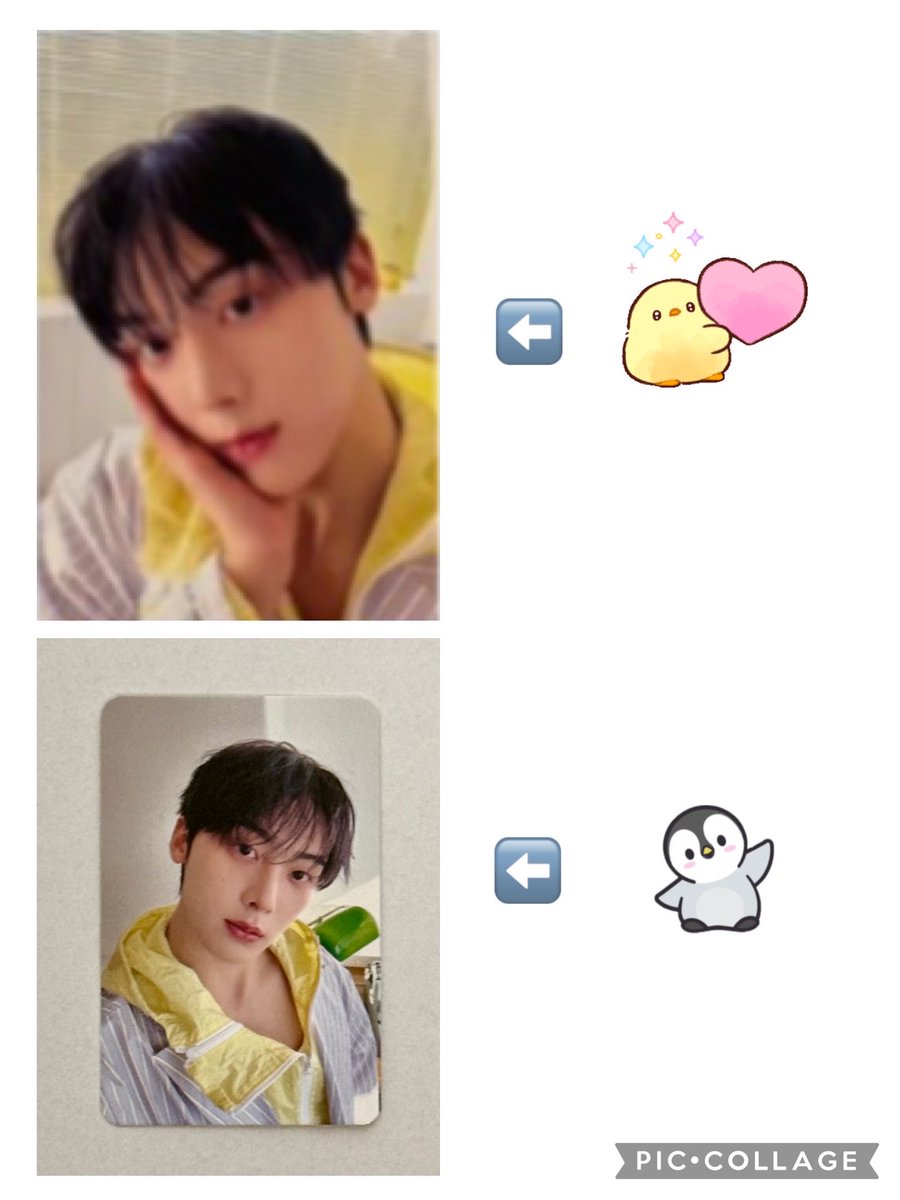 きぃ🐣💫 tweet media