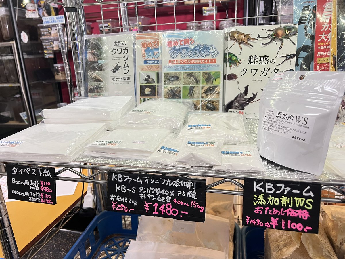 ブラッキー　クワカブ専門店 tweet media