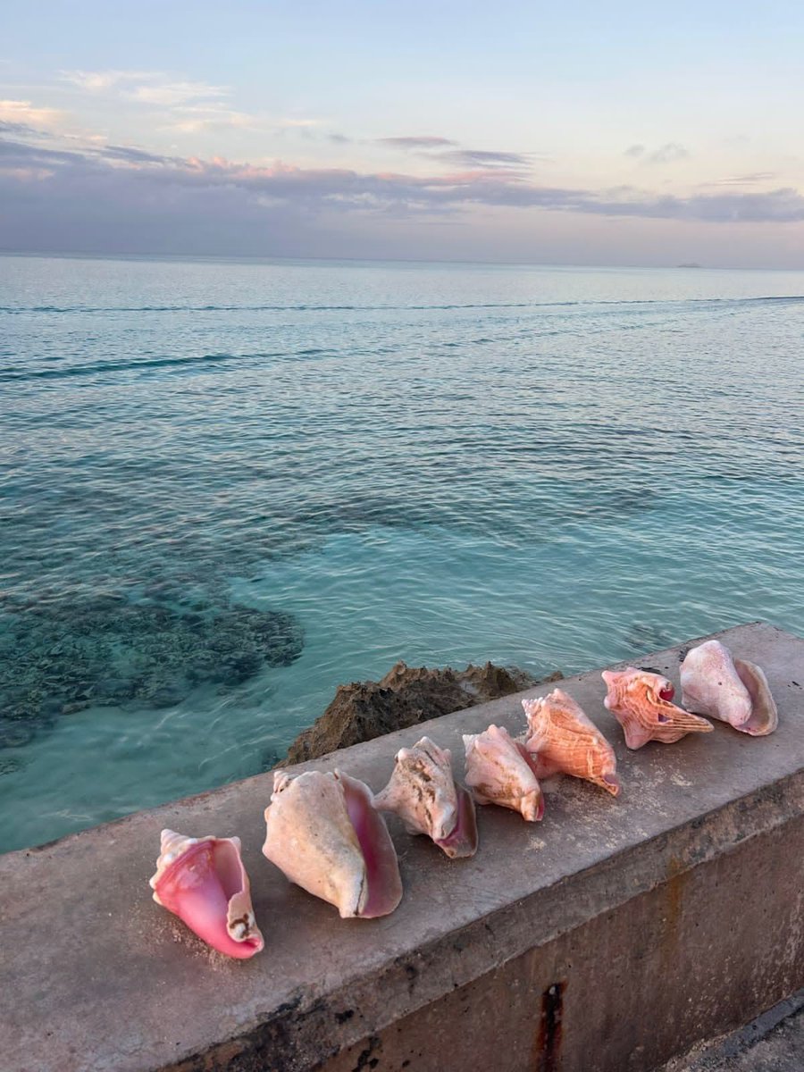 wavemood tweet media