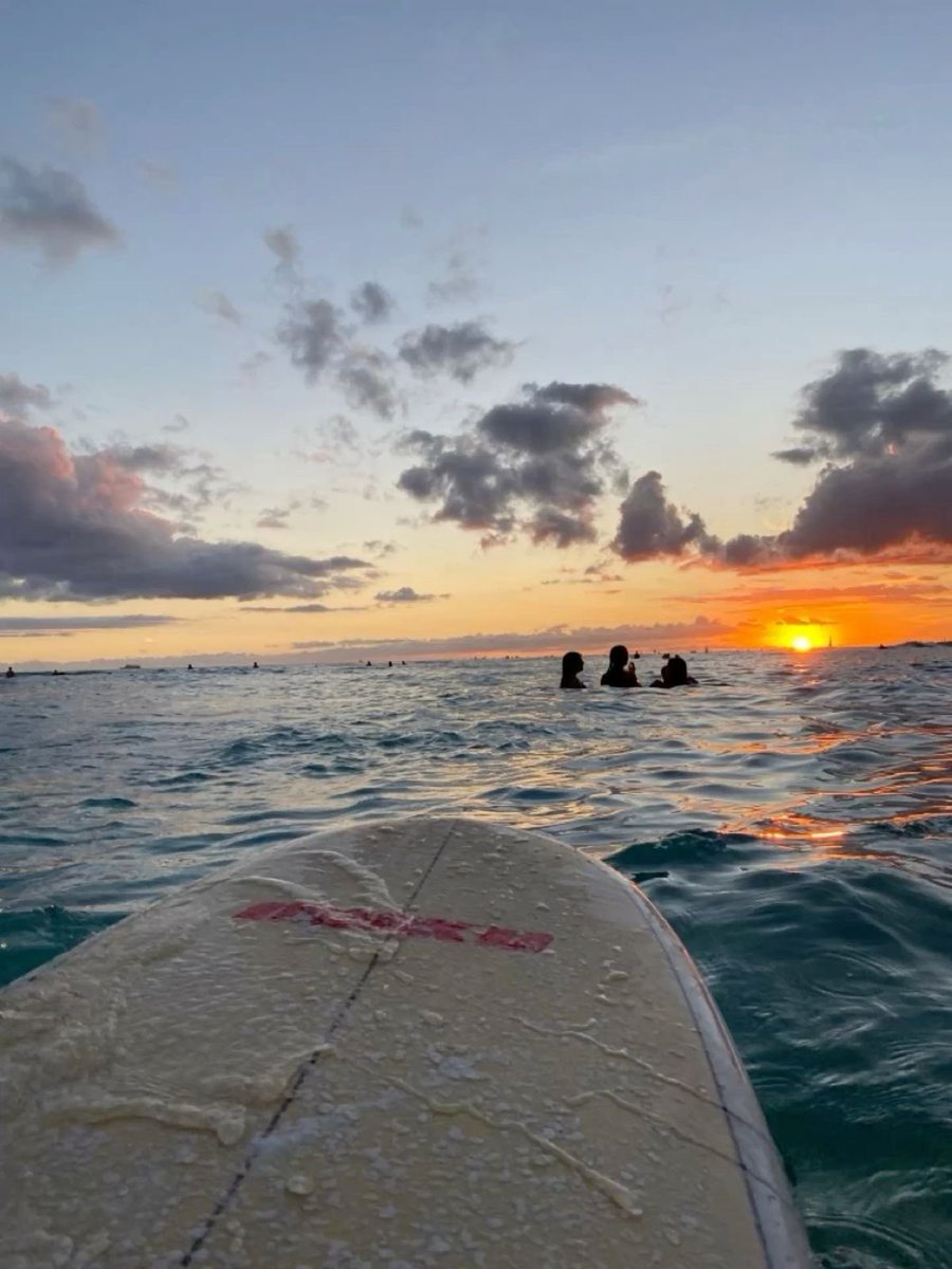 wavemood tweet media