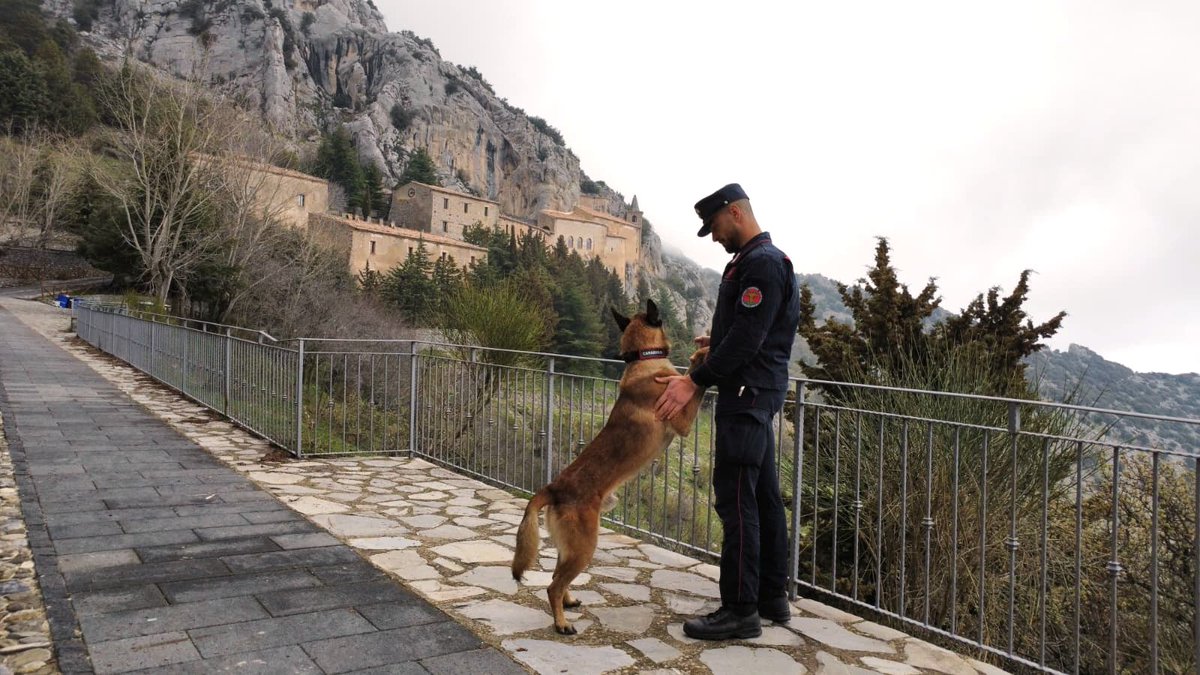 Arma dei Carabinieri tweet media