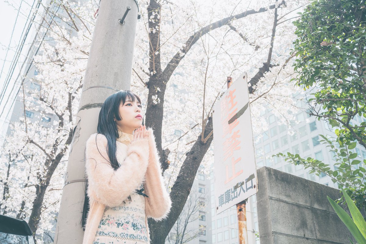 夢々🌸撮影募集中 tweet media