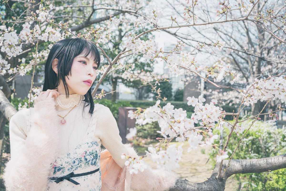 夢々🌸撮影募集中 tweet media