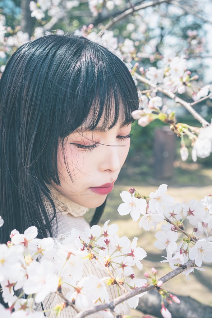 夢々🌸撮影募集中 tweet media