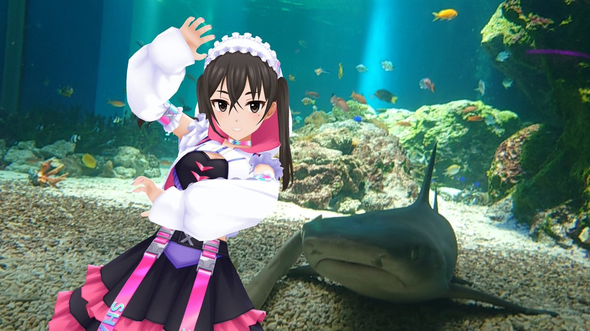 ぼらぼら tweet media