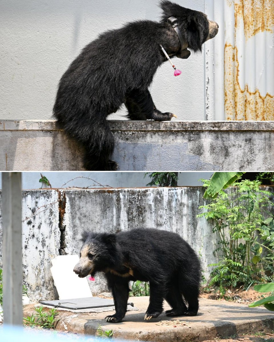 The Hindu tweet media