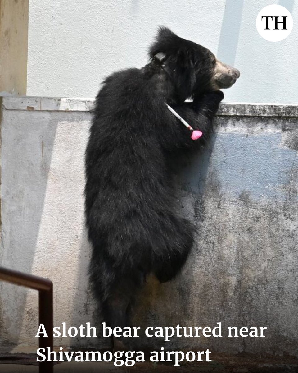 The Hindu tweet media