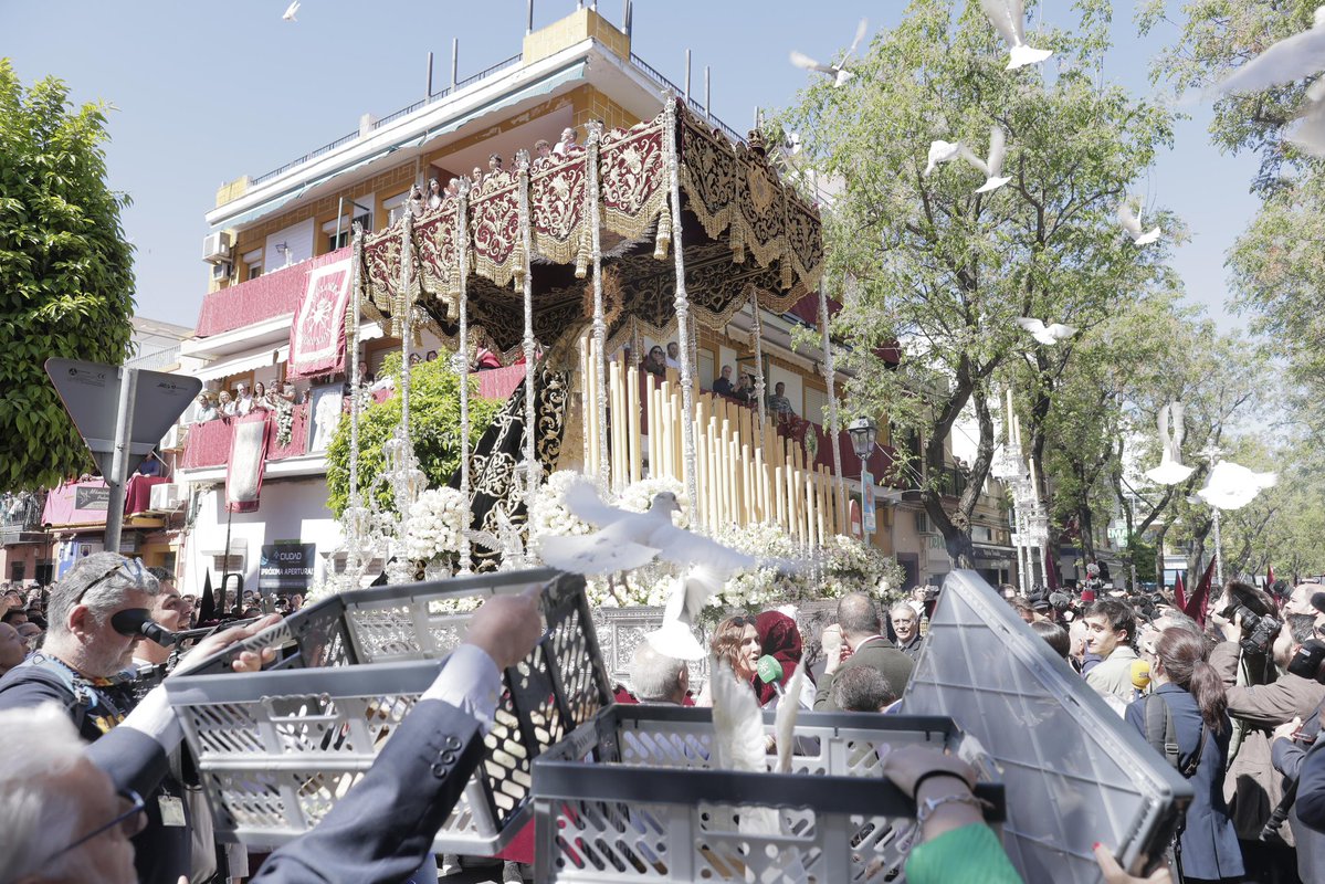 Pasión en Sevilla tweet media