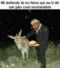 Major Patolino tweet media