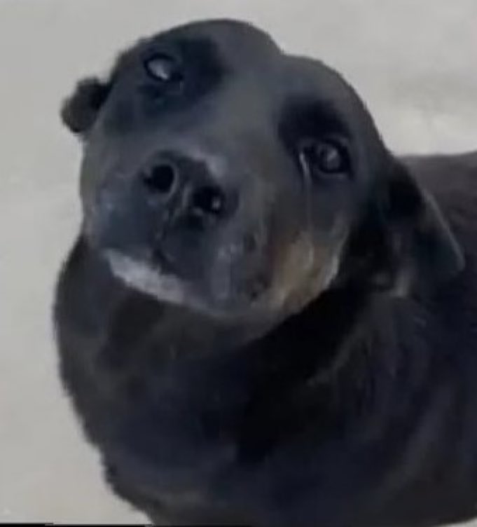 79 dias sem justiça