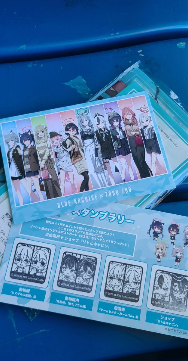 ひかる 🪼 tweet media