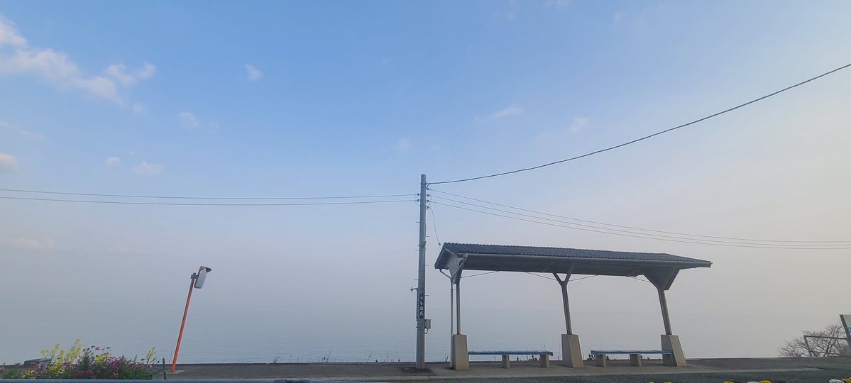 ひかる 🪼 tweet media