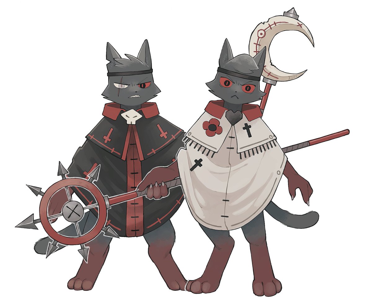 小虎(ティグレ) tweet media