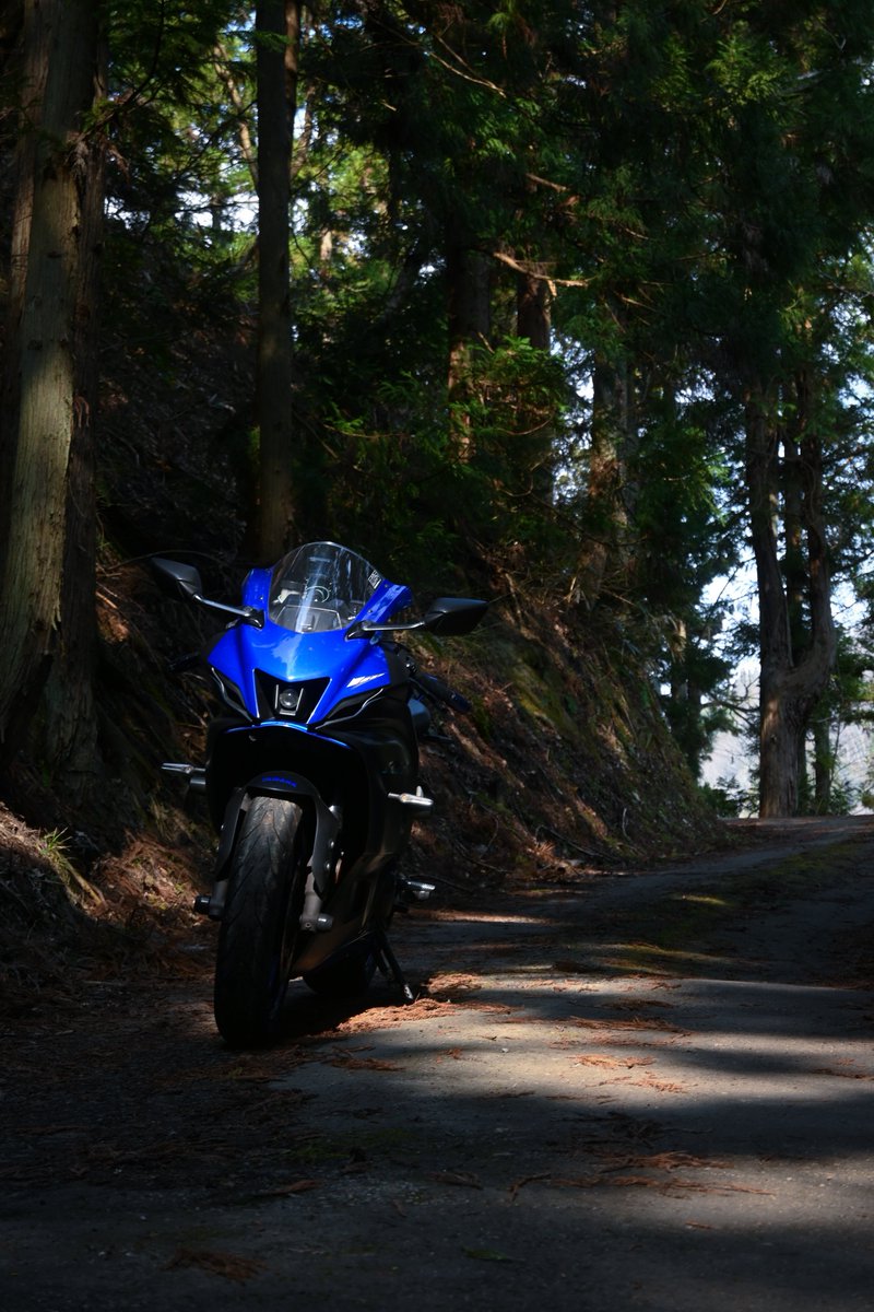 さめ🦈 tweet media