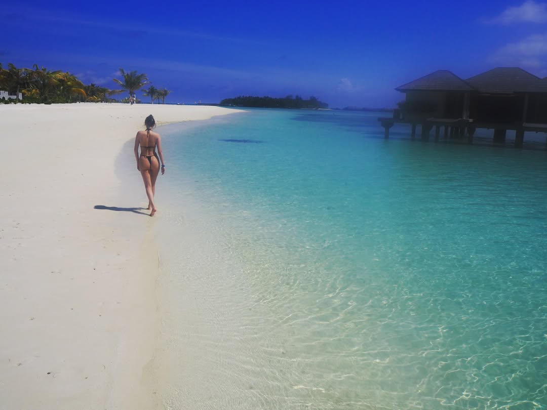 MPodczarski tweet media