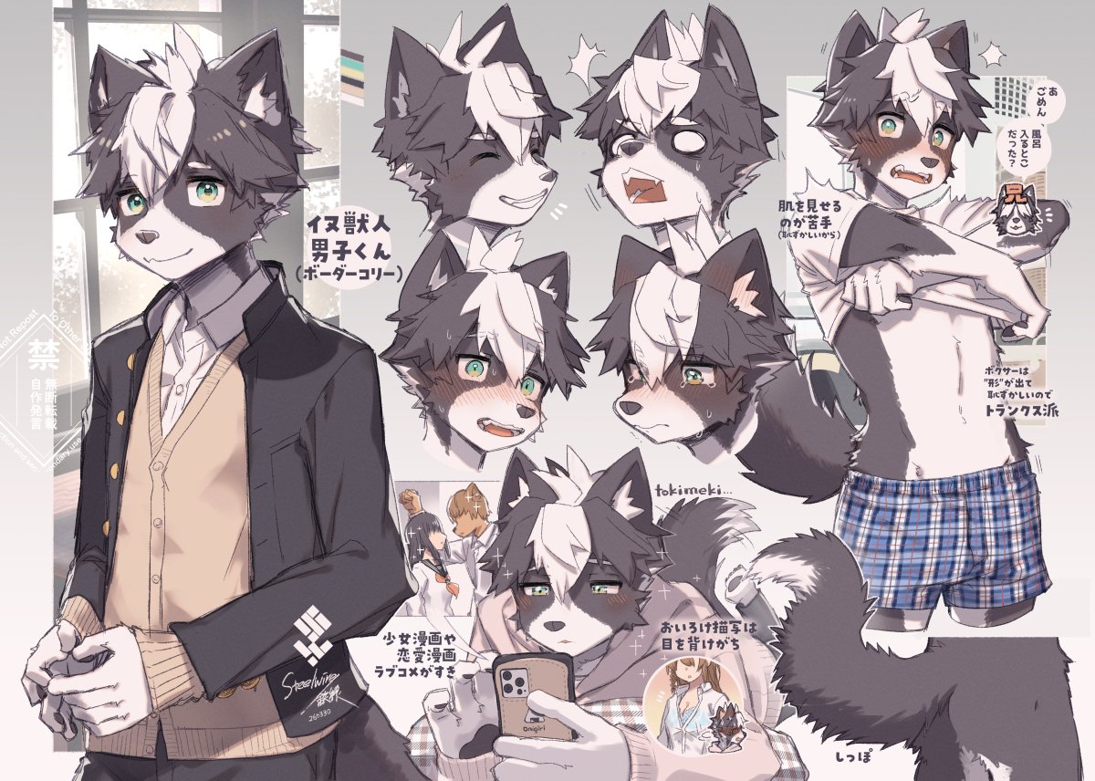 steelwire/鉄線🏁関けもC-18 tweet media