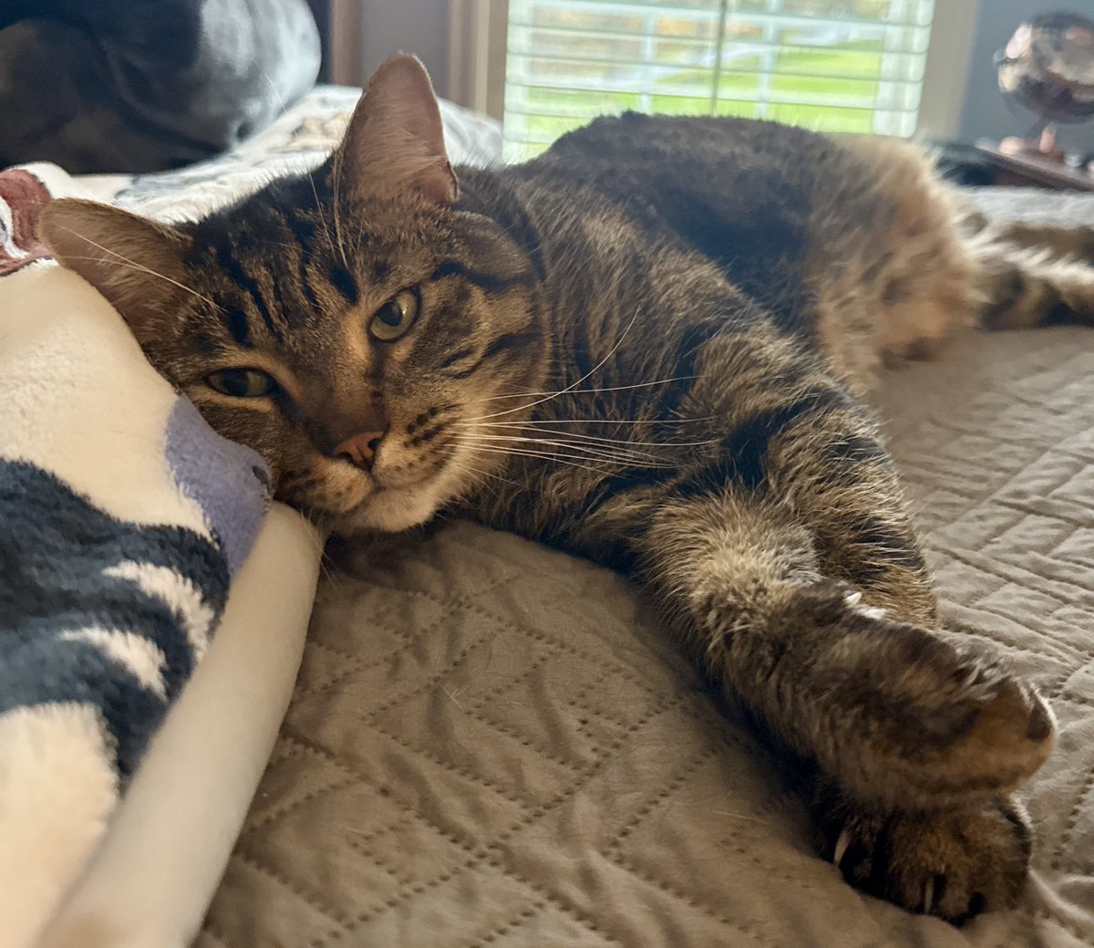 For the love of Missy. tweet media