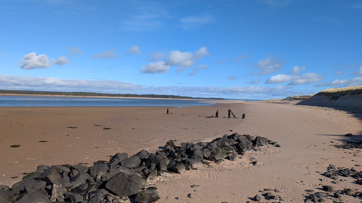 Tom Moodie tweet media