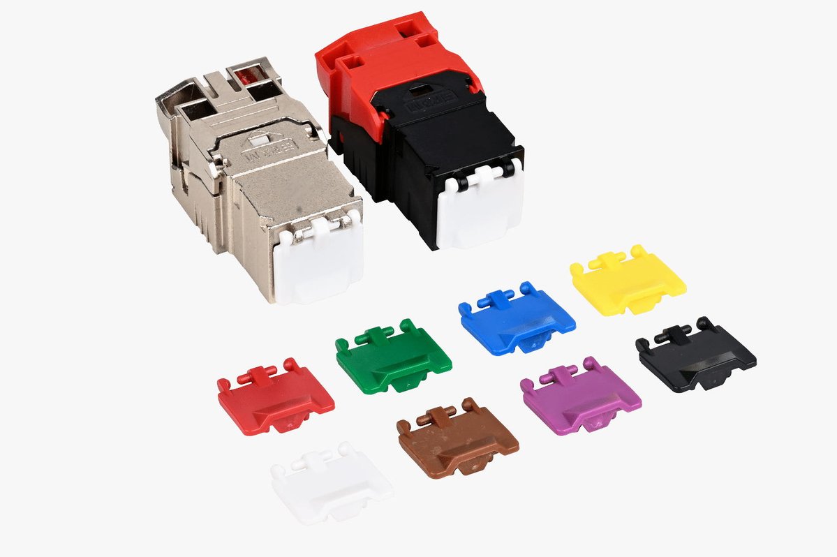 Take Risk tweet media