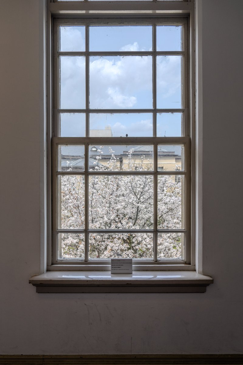 yasu@Constall tweet media