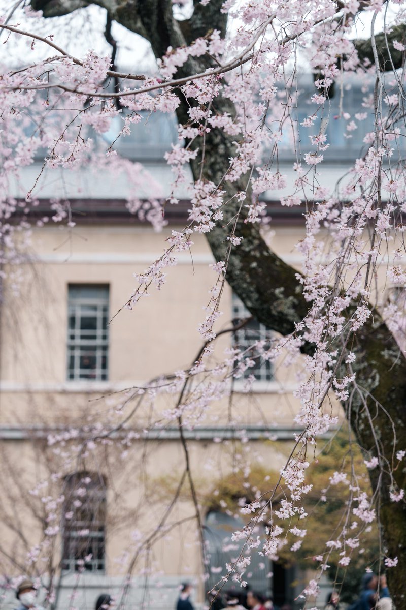 yasu@Constall tweet media