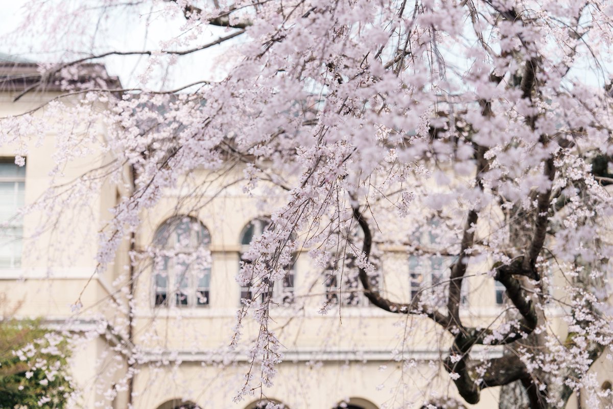 yasu@Constall tweet media