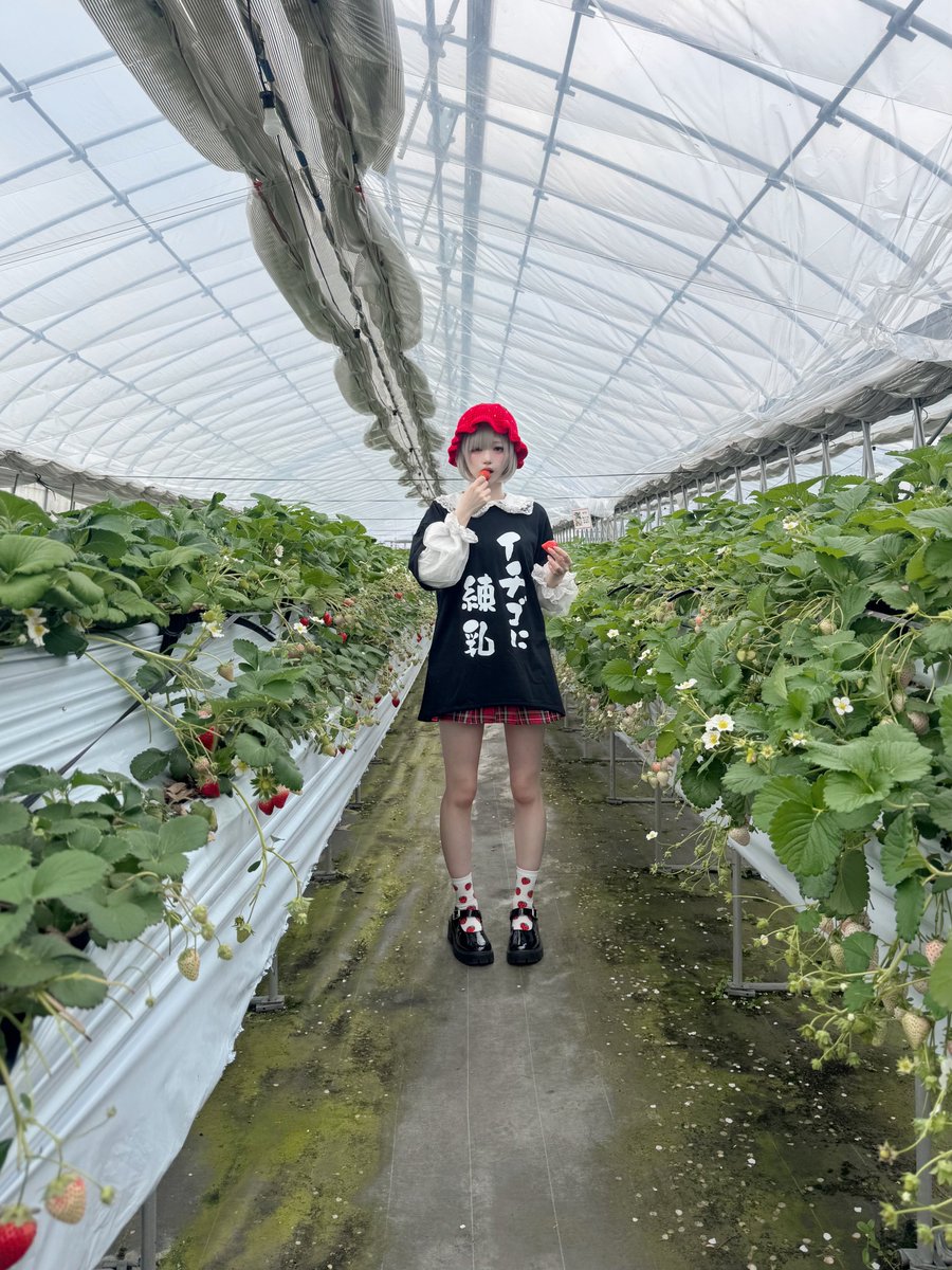 月海つくね tweet media