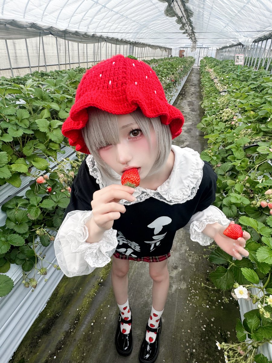 月海つくね tweet media