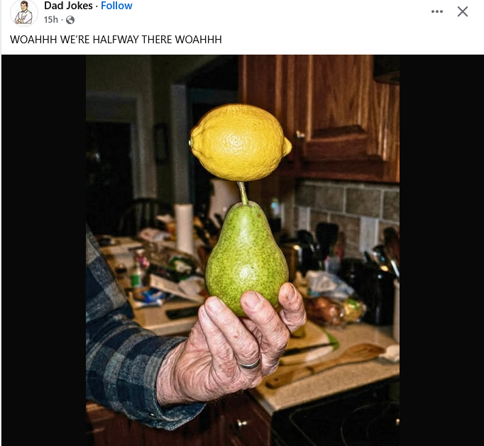 Anna 🌻💙 tweet media