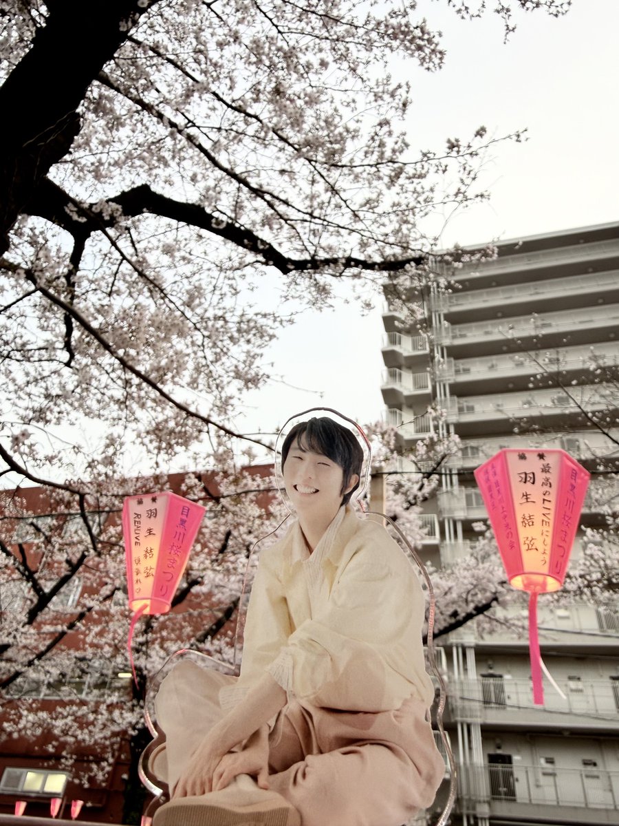 ❄️sora🪽🌟🌙🧊⛸️🌸 tweet media