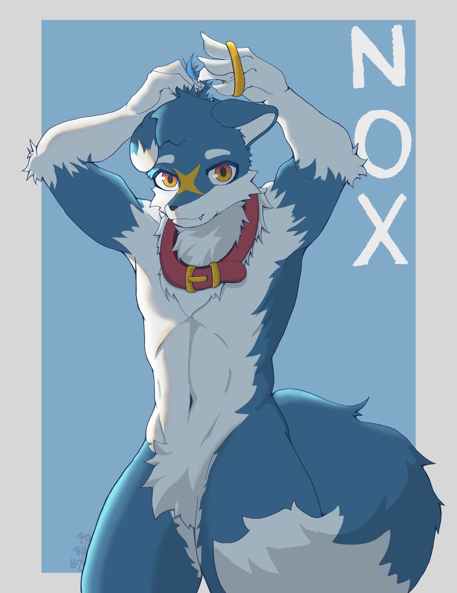 馬嚕嚕 マルル tweet media