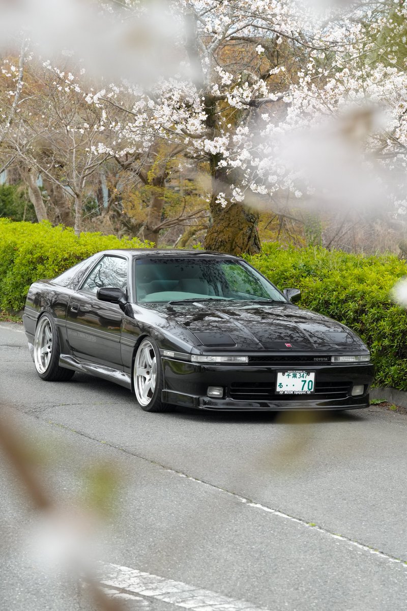 supra_70_'s tweet photo. 今年もスープラと桜🌸の写真撮れた📸
#70スープラ　#mk3supra https://t.co/zDvMLmNmvy