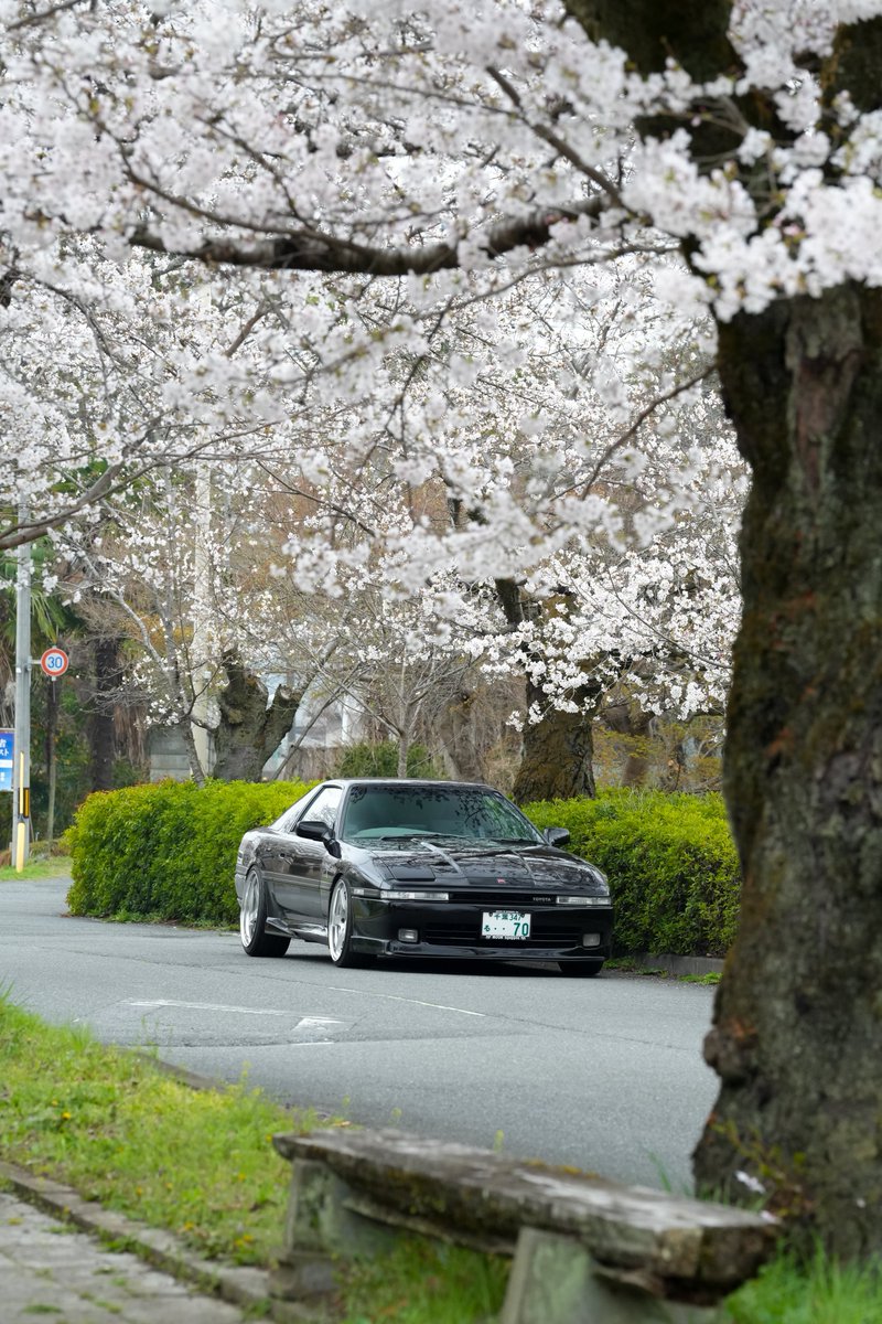 supra_70_'s tweet photo. 今年もスープラと桜🌸の写真撮れた📸
#70スープラ　#mk3supra https://t.co/zDvMLmNmvy