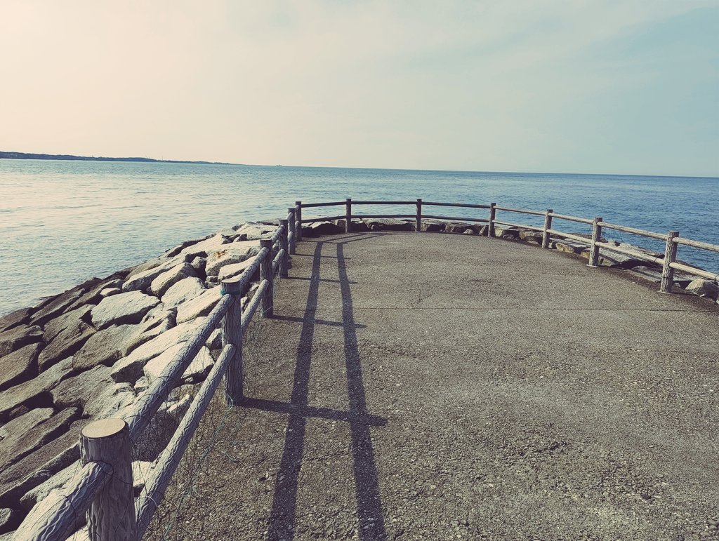 Midshiro tweet media