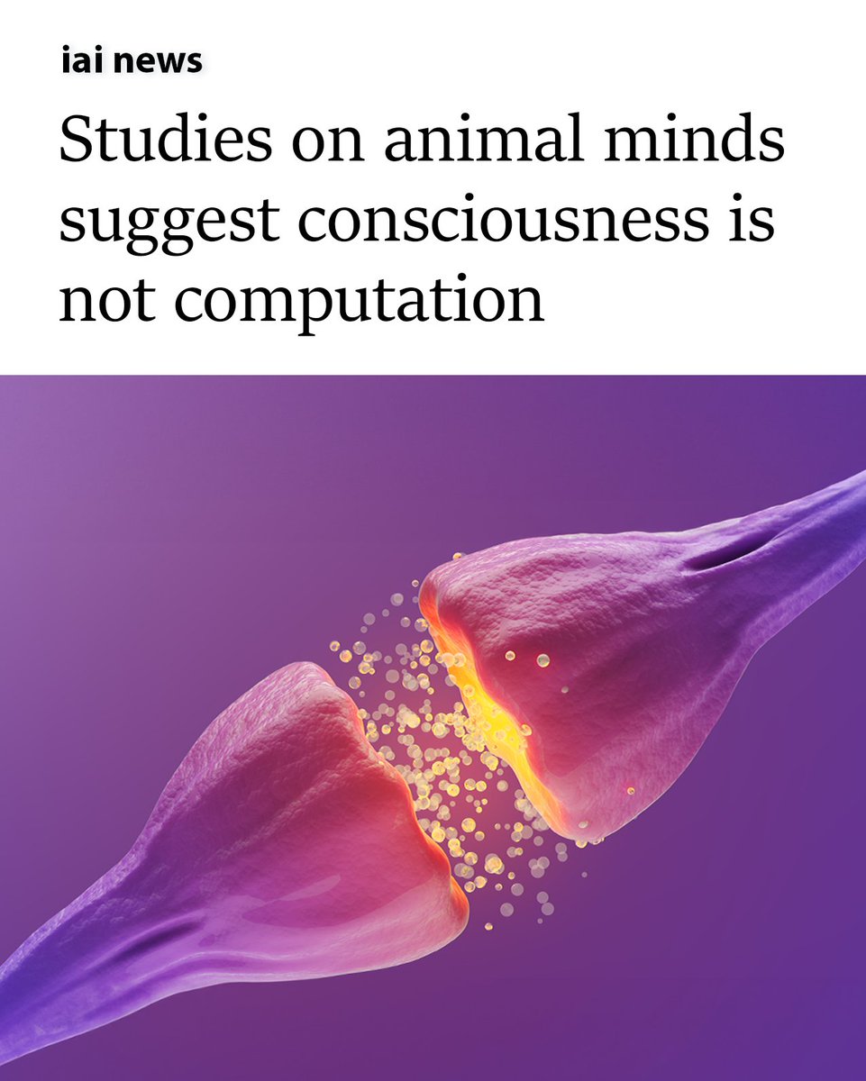 Institute of Art and Ideas tweet media