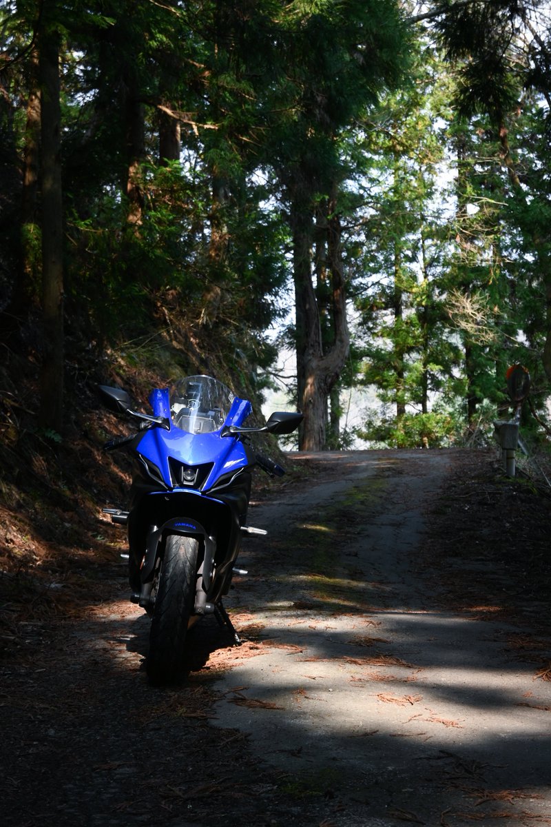 さめ🦈 tweet media