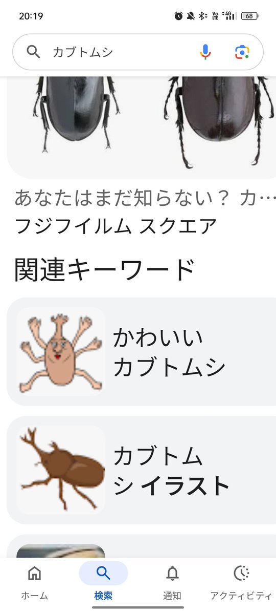 かわいい…カブトムシ…？
まさか、君が…？？？