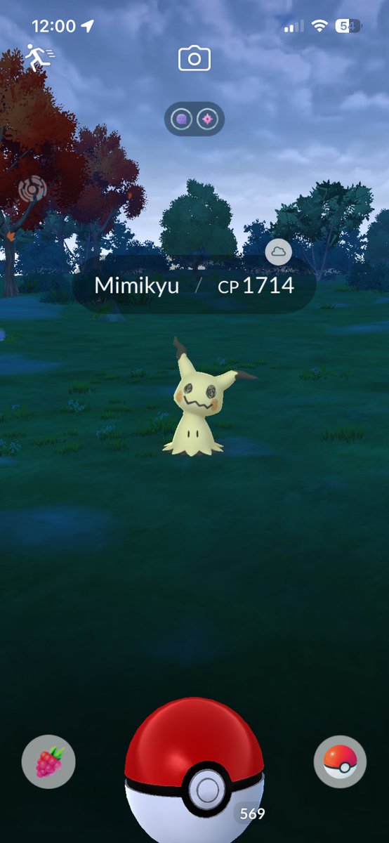 M_ExploresGO's tweet photo. @Brendan55696649 @SerebiiNet I can promise you haha https://t.co/NNmHaVPUvh