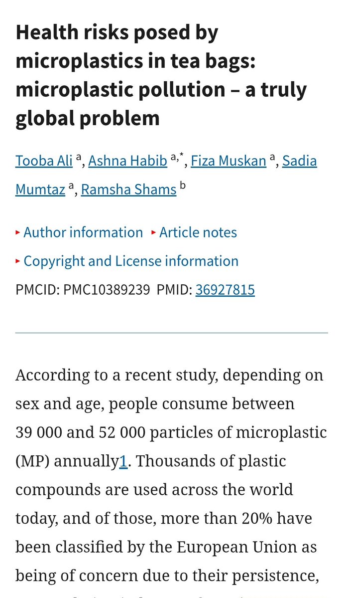 wasp's nest 🇱🇻 tweet media