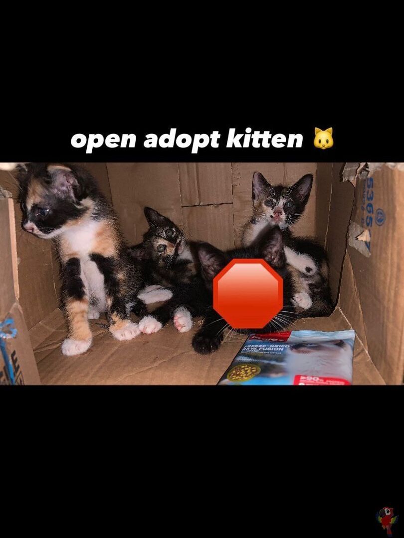 UNICEMFS tweet media