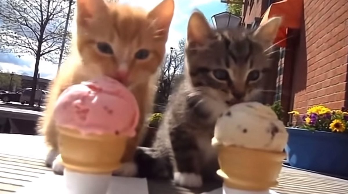 裹尸袋 tweet media