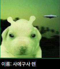 입양된며느리 tweet media