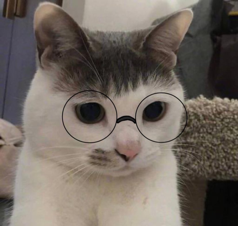 고마워누 tweet media