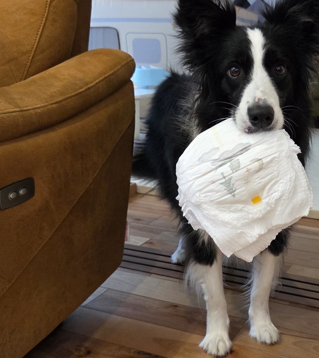 なつ☺︎🌻🍓‎🤍 tweet media